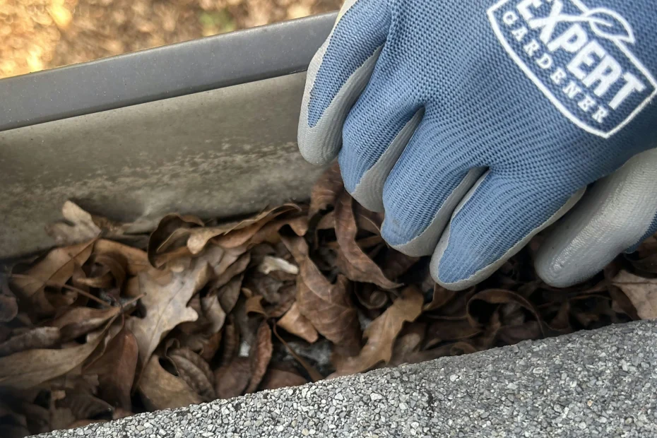 Gutter Cleaning Melbourne FL