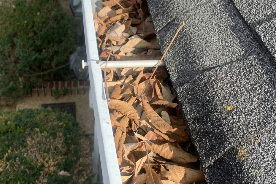 Gutter Cleaning Melbourne FL